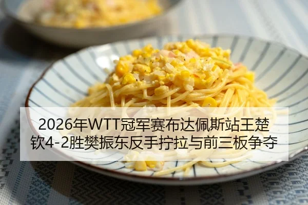 2026年WTT冠军赛布达佩斯站王楚钦4-2胜樊振东反手拧拉与前三板争夺