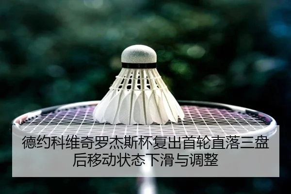 de-yue-ke-wei-qi-luo-jie-si-bei-fu-chu-shou-lun-zhi-luo-san-pan-hou-yi-dong-zhuang-tai-xia-hua-yu-tiao-zheng-3-731.jpg