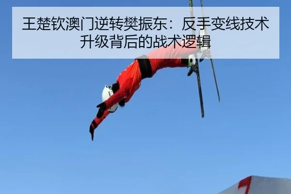 wang-chu-qin-ao-men-ni-zhuan-fan-zhen-dong-fan-shou-bian-xian-ji-shu-sheng-ji-bei-hou-de-zhan-shu-luo-ji-3-327.jpg